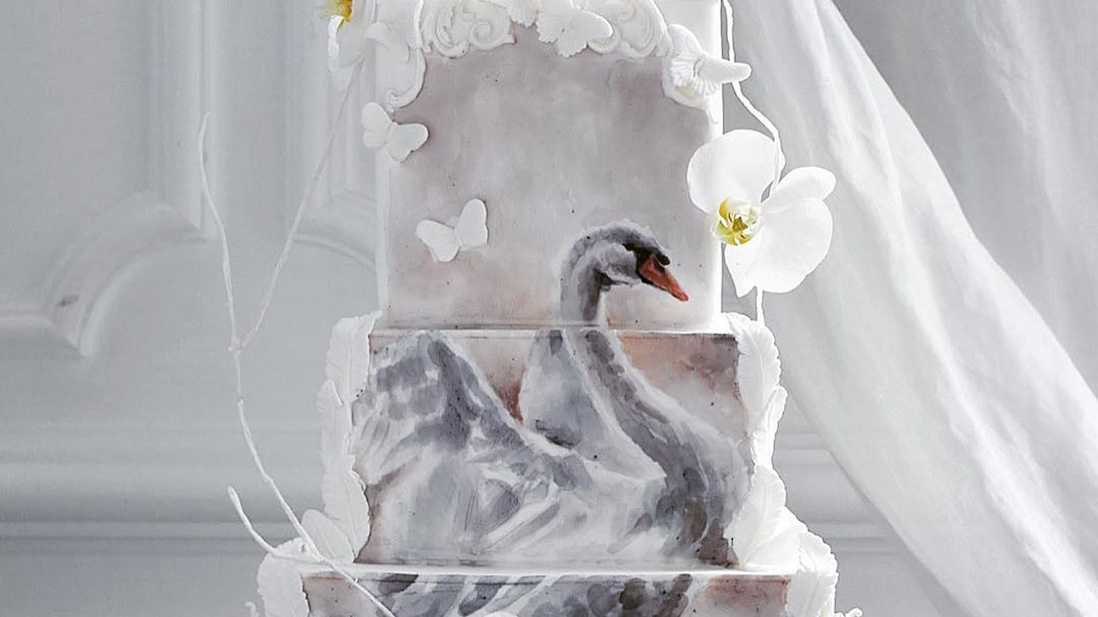 Cygne majestueux