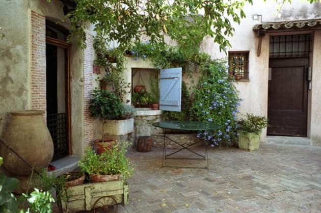 Symphonie végétale