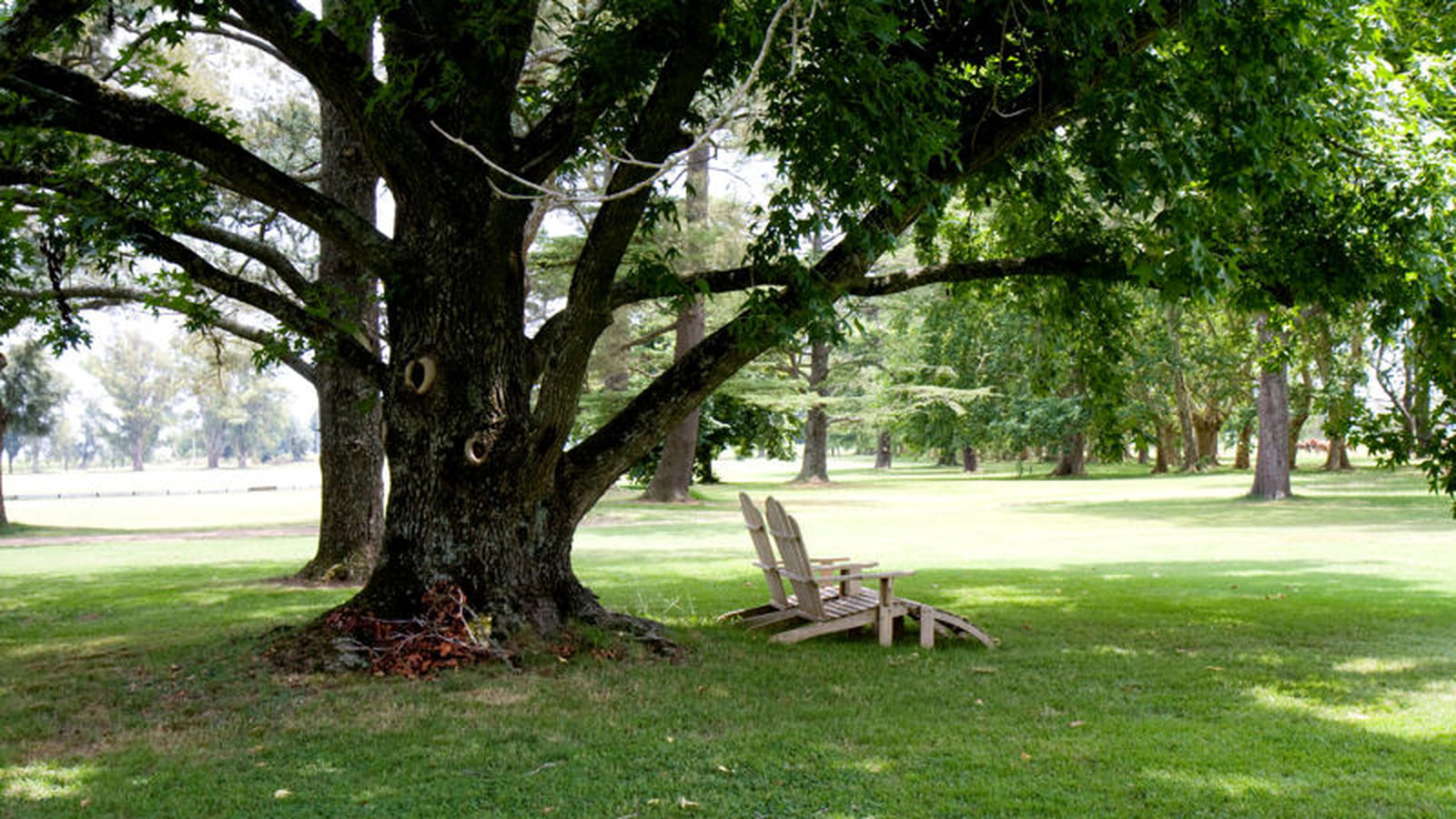 Parc