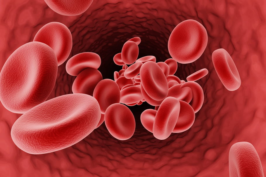 Globules Rouges h maties Les Causes D un Taux Trop lev Ou Trop Bas Globules Rouges h maties Les Causes D un Taux Trop lev Ou Trop Bas