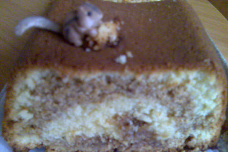 Recette de Quatrequarts marbré au pralin sans levure