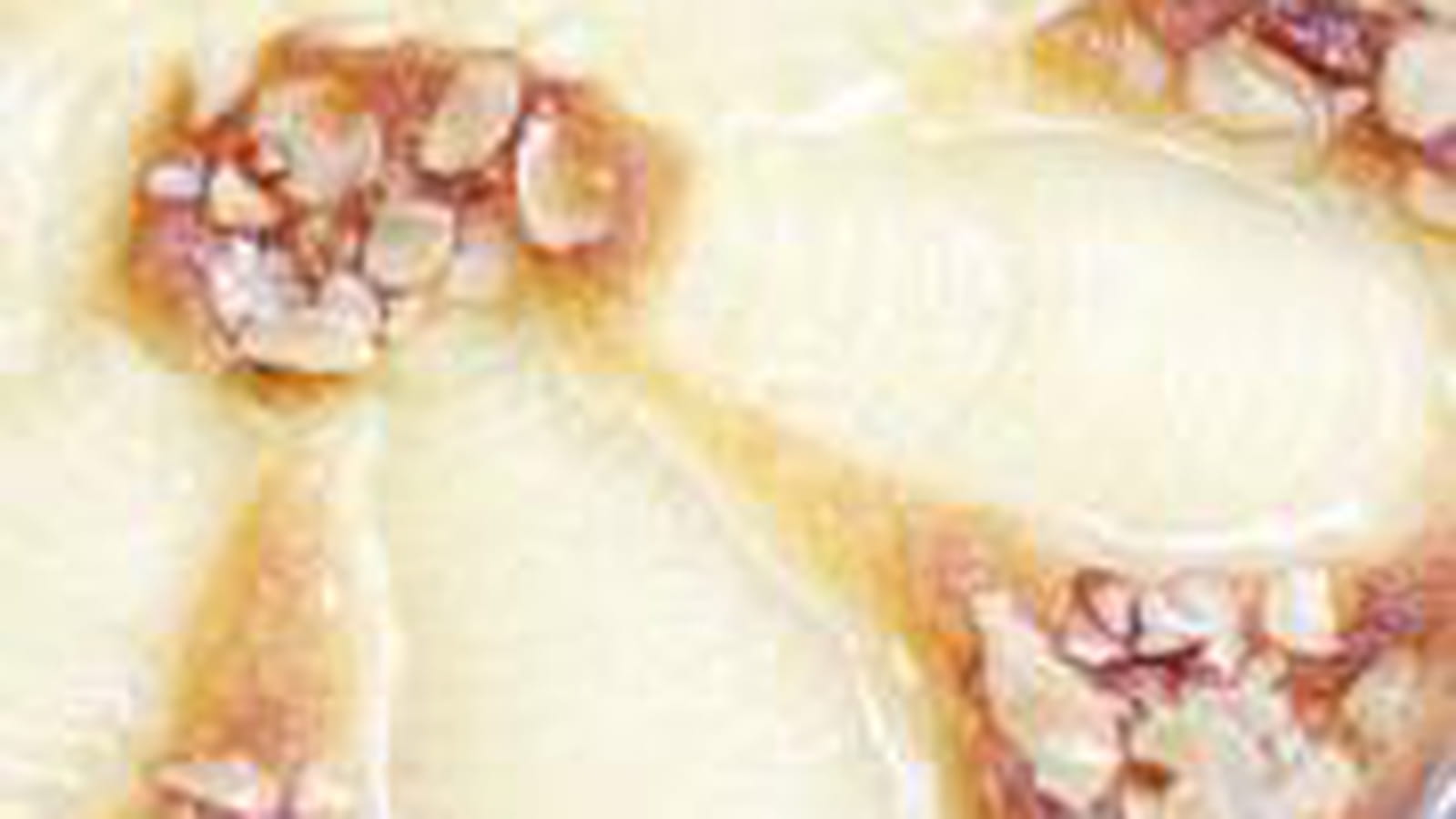 Tarte Bourdaloue