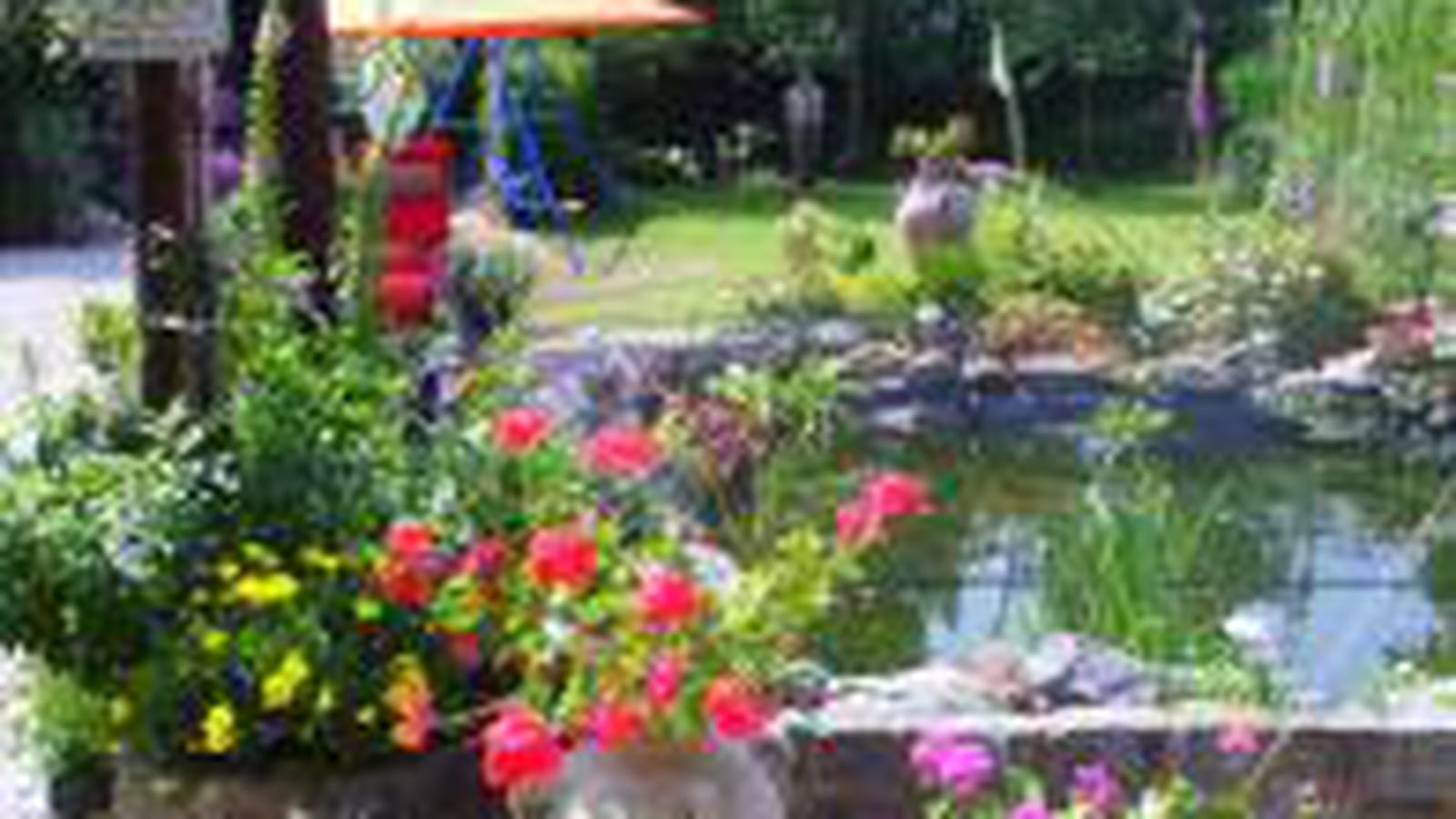 Couleurs