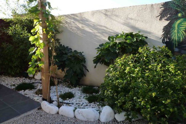 Un petit côté jungle luxuriante