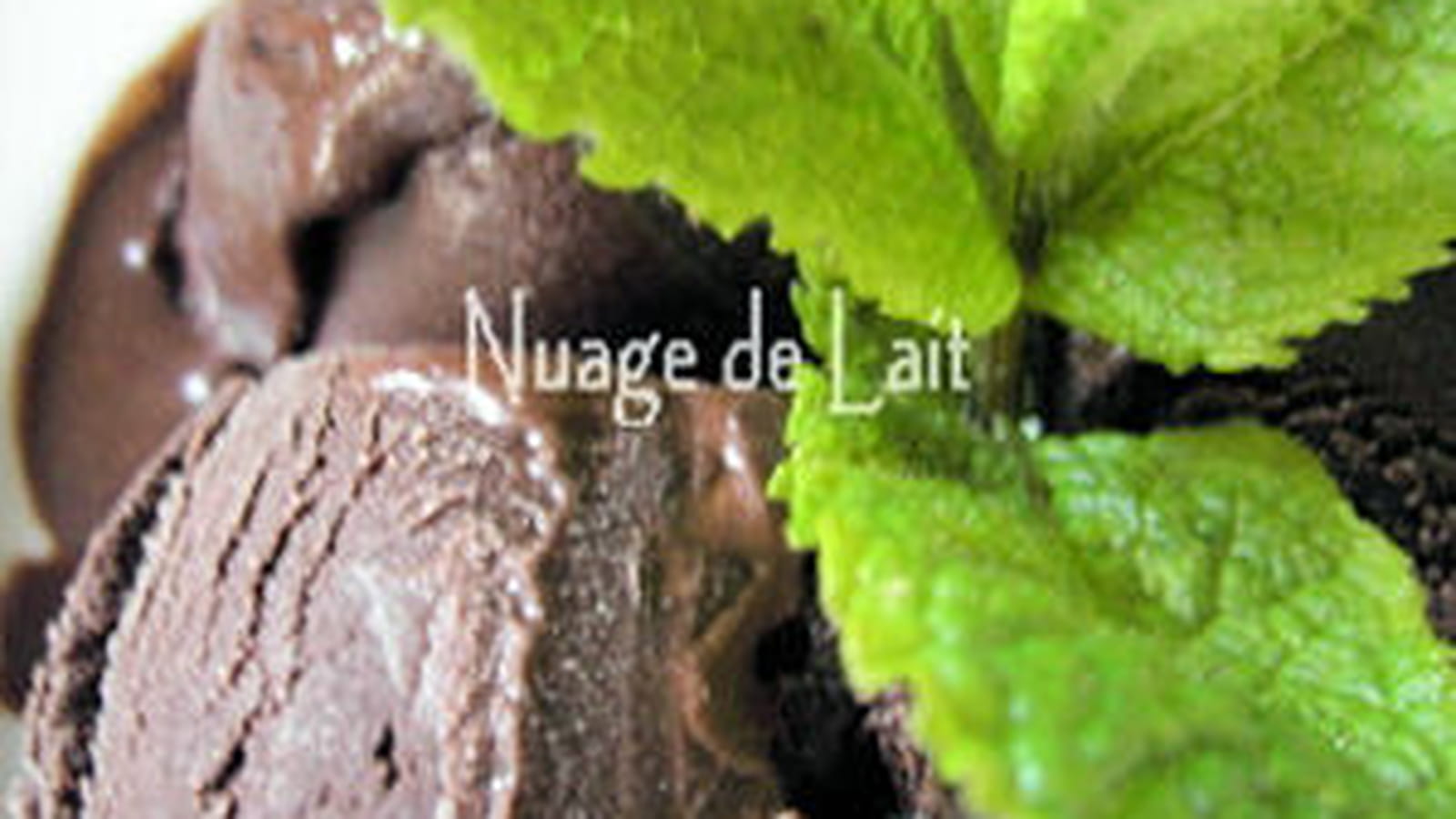Sorbet chocolat-menthe