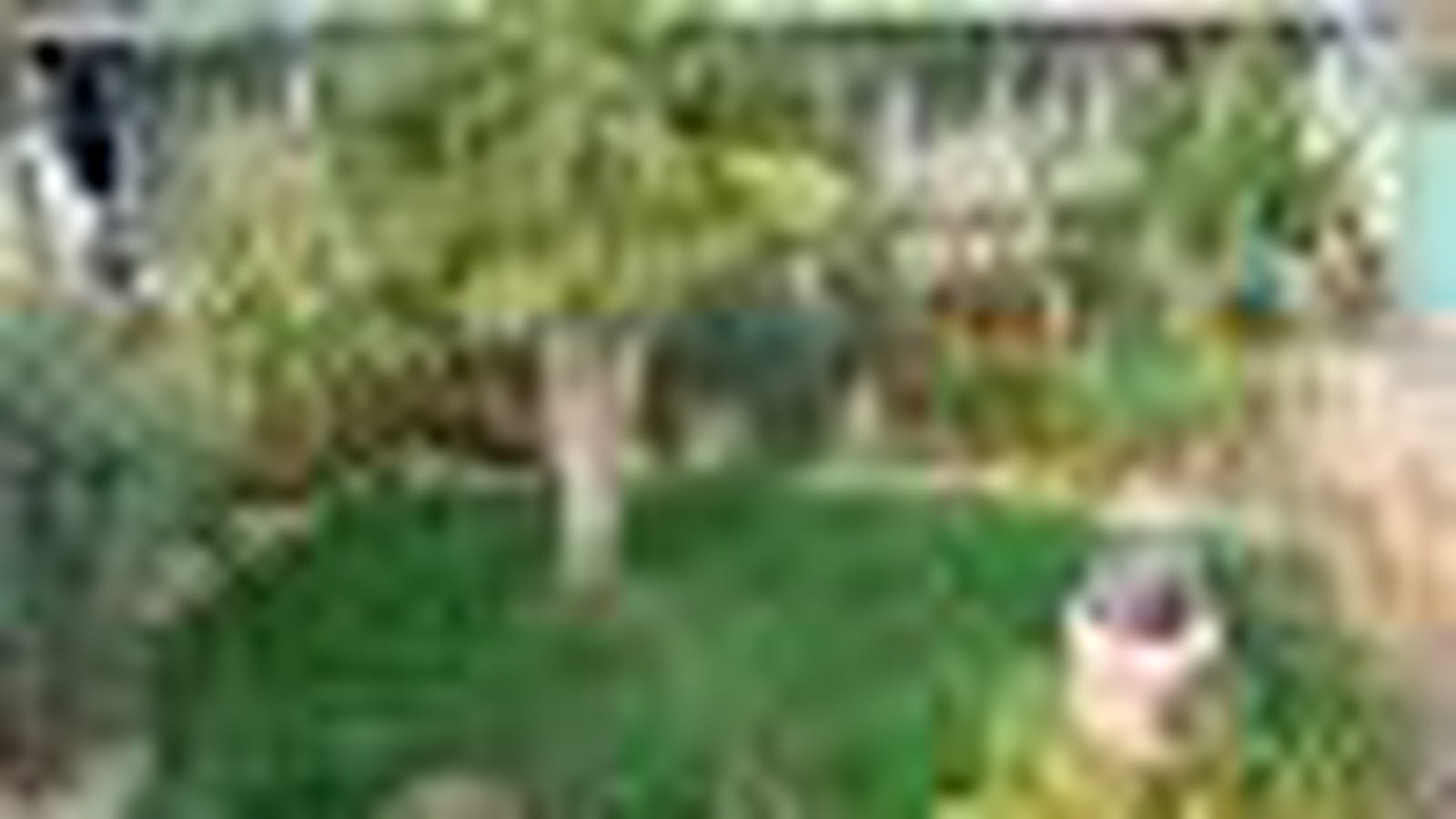 Le jardin méditerranéen