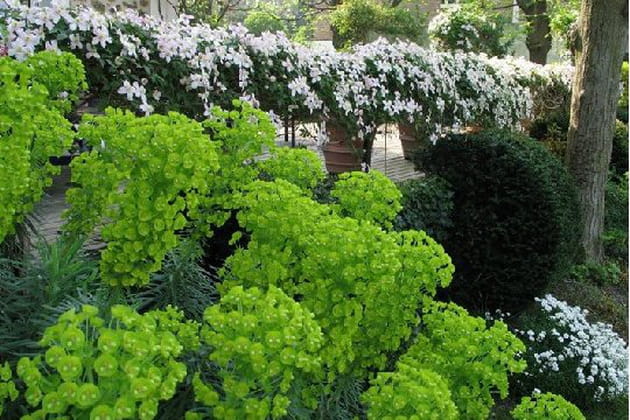 Une terrasse surélevée entourée d'un petit massif