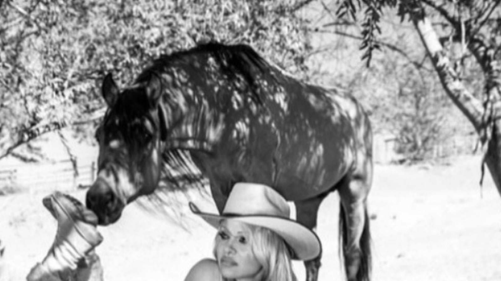 Pamela Anderson