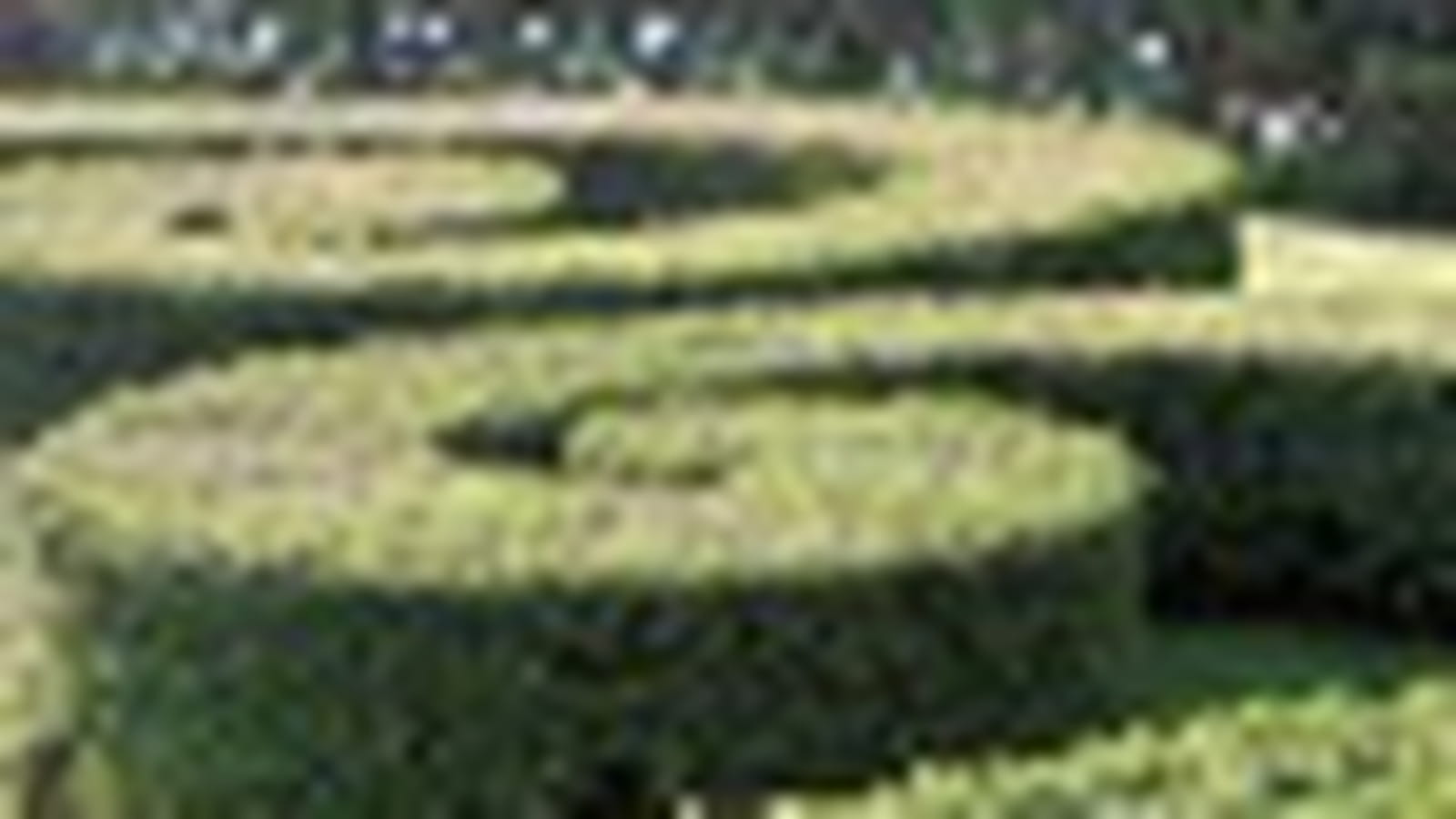 Jardin artistique
