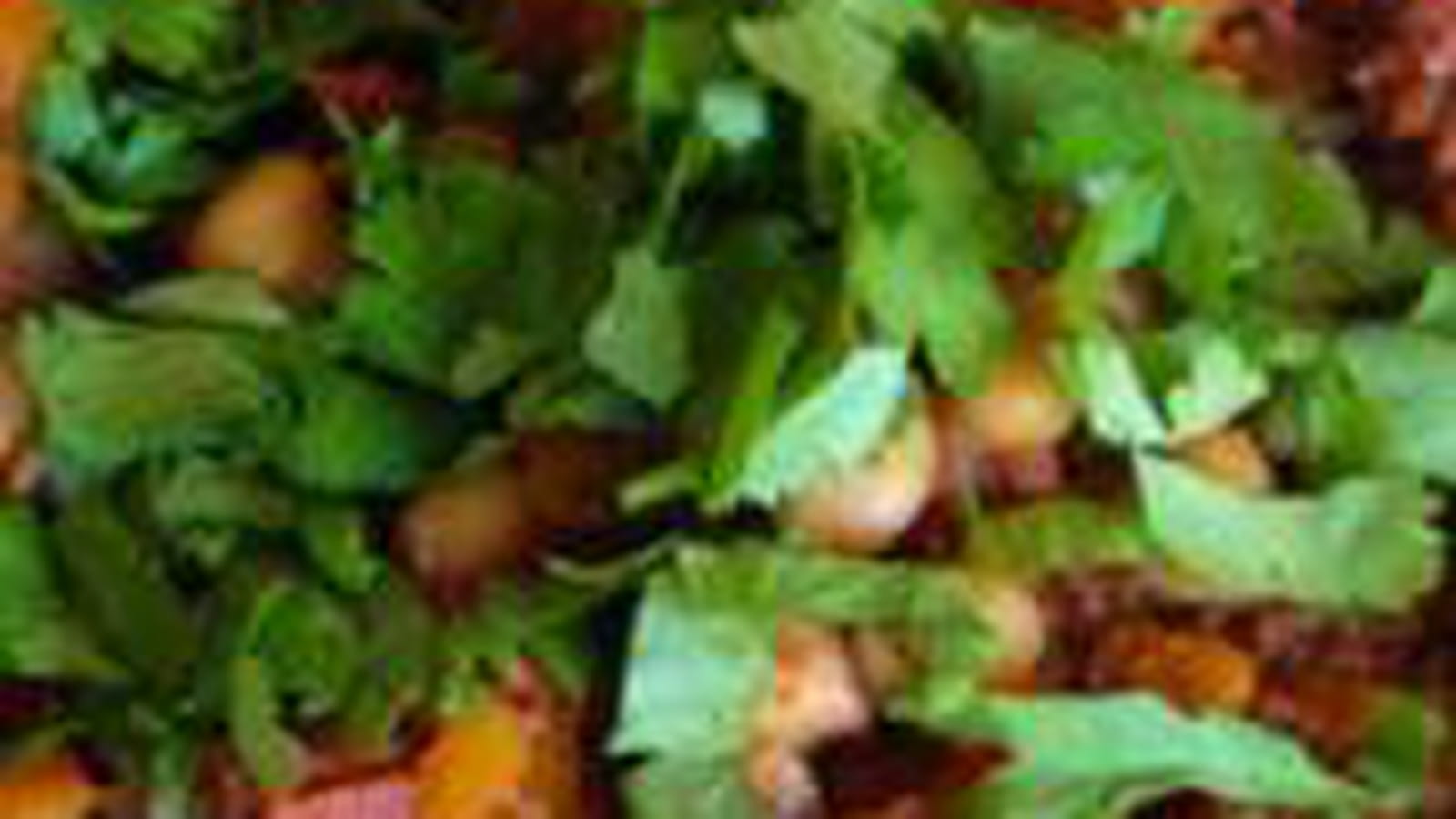 Sauce Al Ragù à l'Orientale 