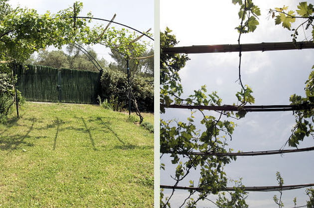 Une pergola à l'entrée