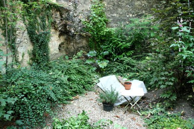 L'infirmerie des plantes