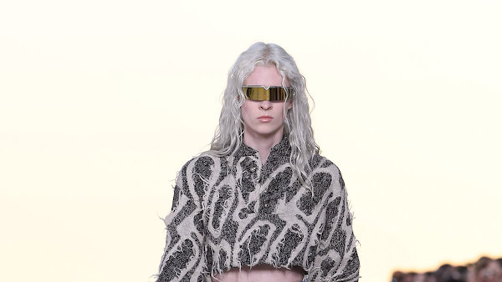 Look 29
