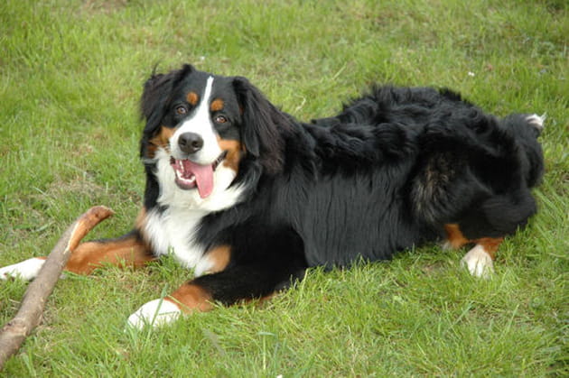 Argon, pot de colle en puissance&nbsp;!