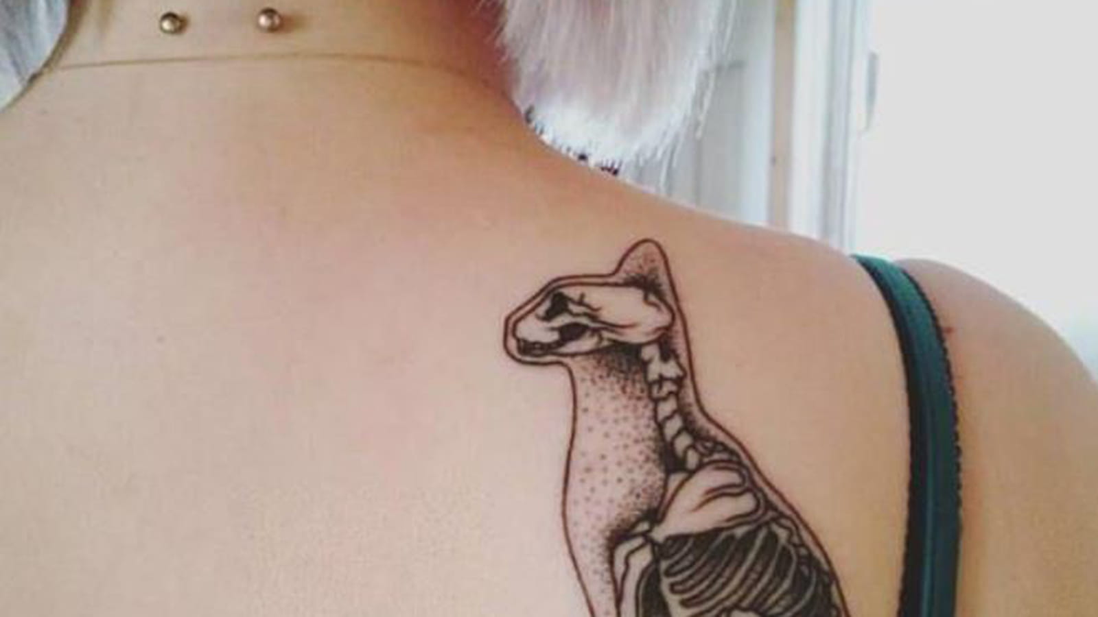 Squelette de chat dans le dos