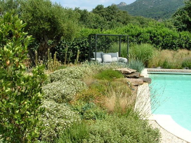 Apr&egrave;s&nbsp;: un &eacute;crin de verdure autour de la piscine