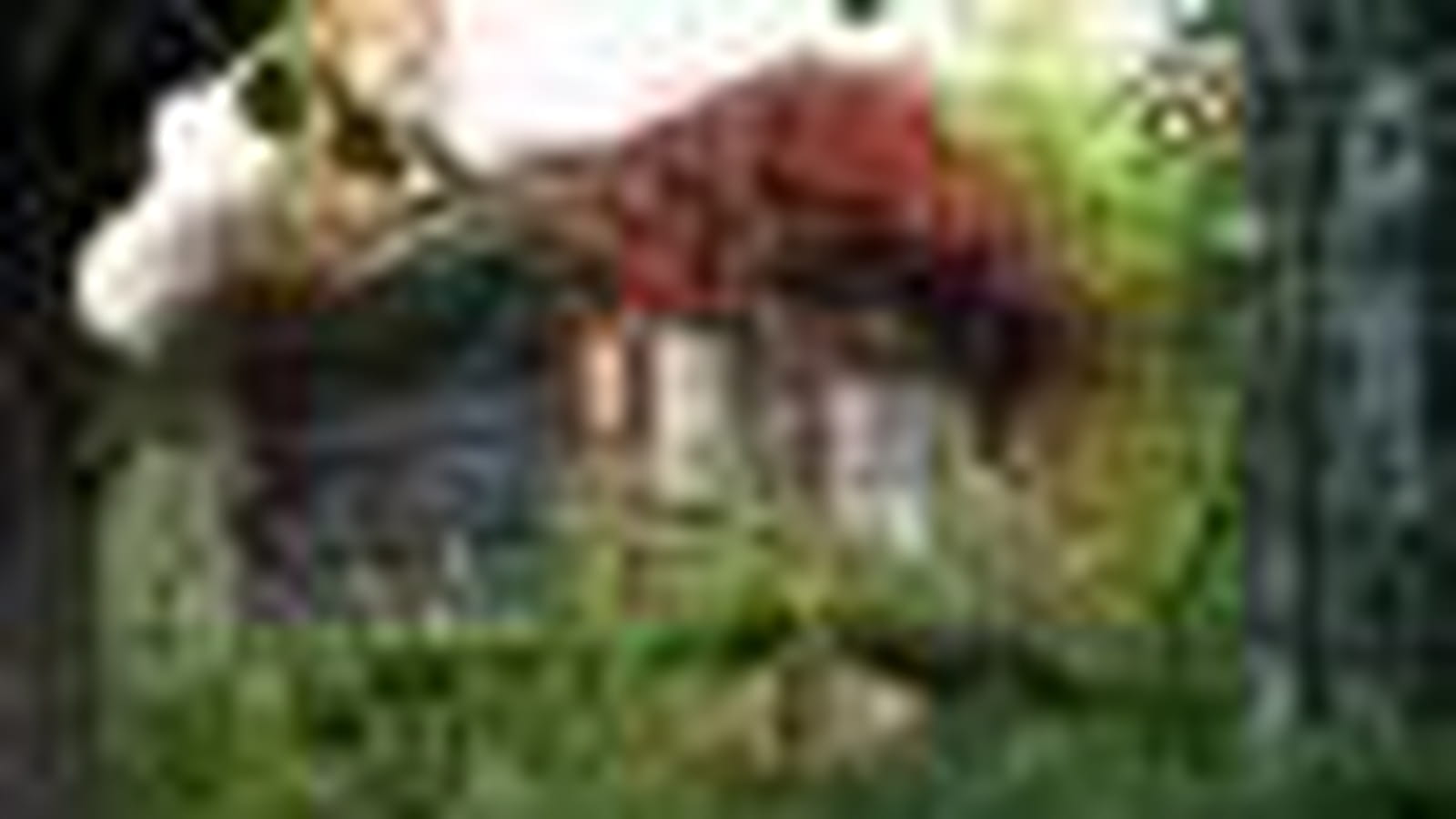 Cabane