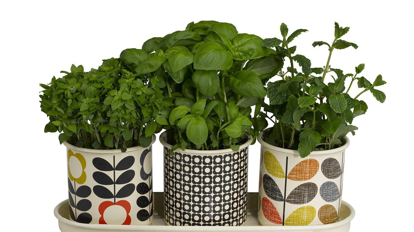 Lot de 3 pots 