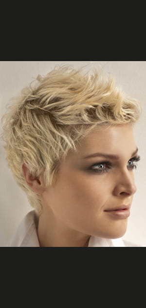 Court stylis&eacute;