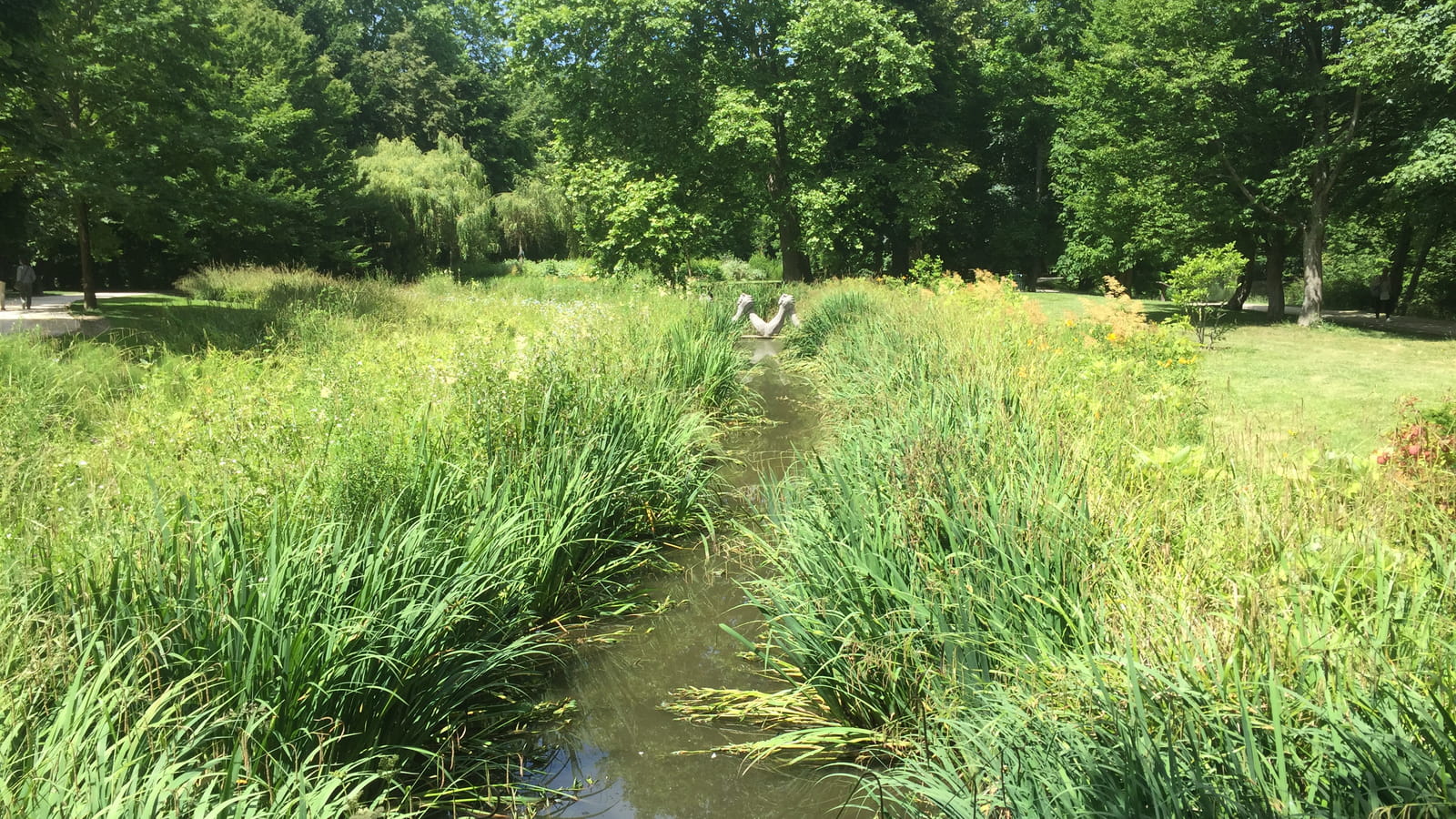 La rivière
