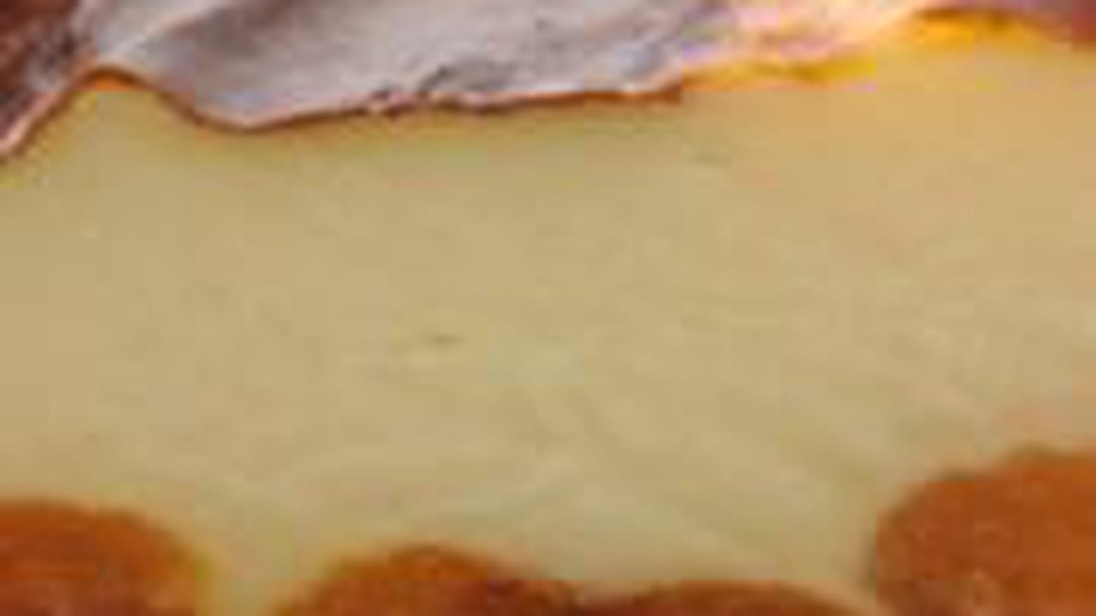 Flan aux abricots