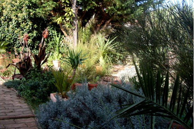 Une v&eacute;g&eacute;tation tr&egrave;s luxuriante