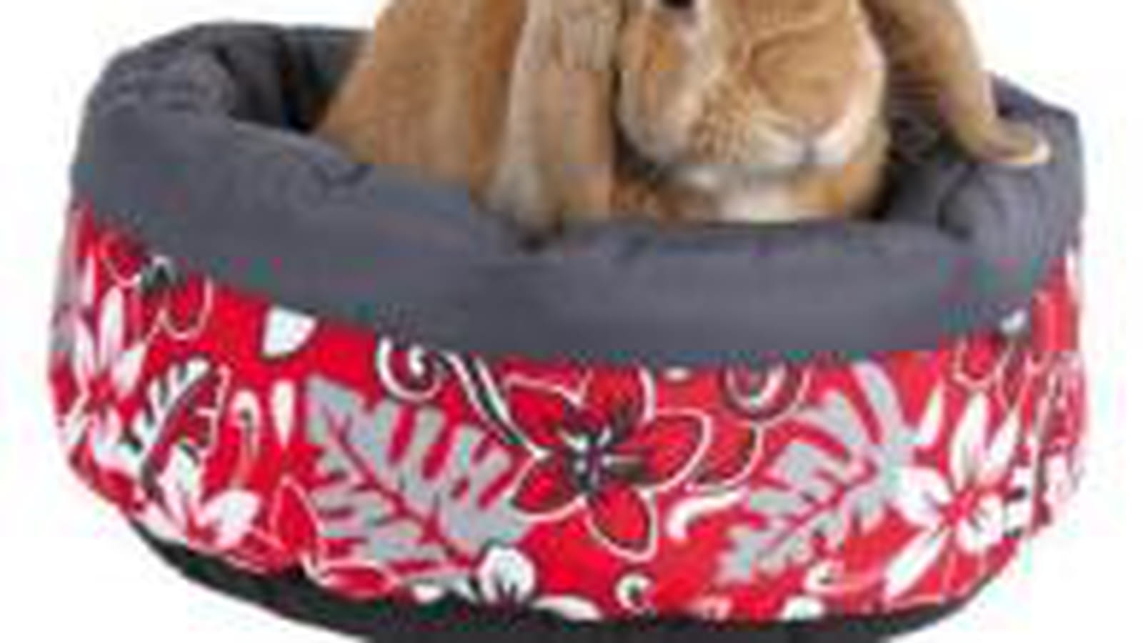 Lit pour lapin