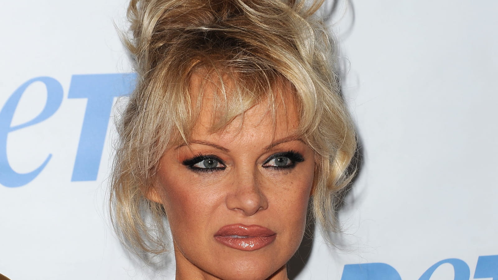 Chignon "Pammy Updo"