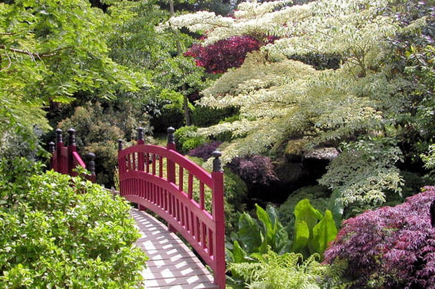 Pont au milieu de la v&eacute;g&eacute;tation