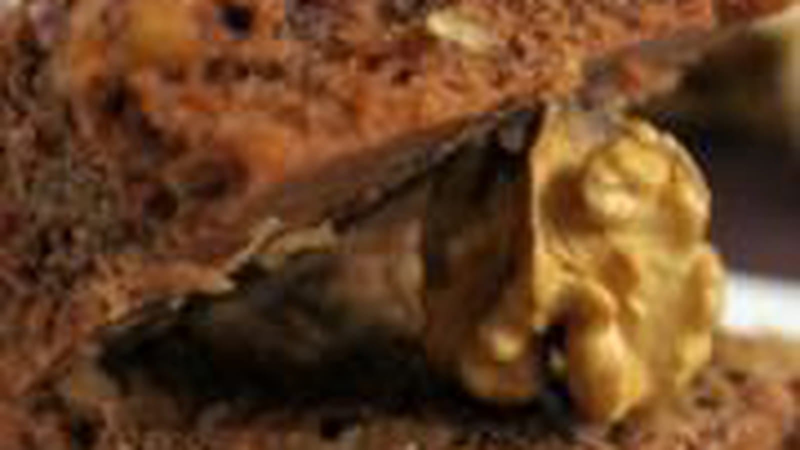 Brownies aux noix