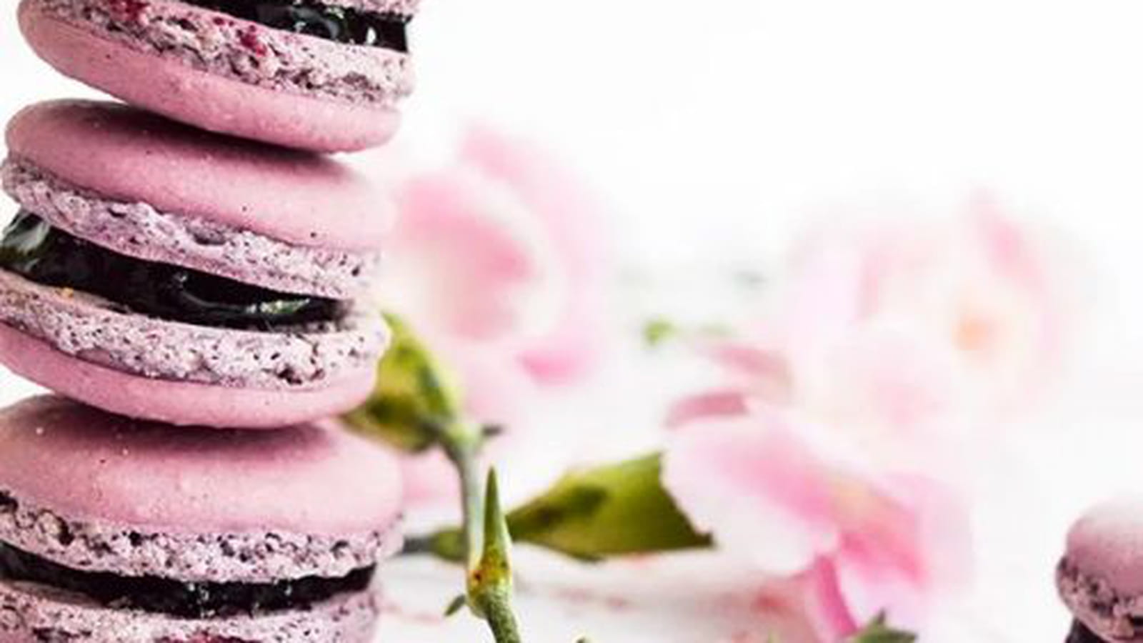 Macarons myrtilles et violette