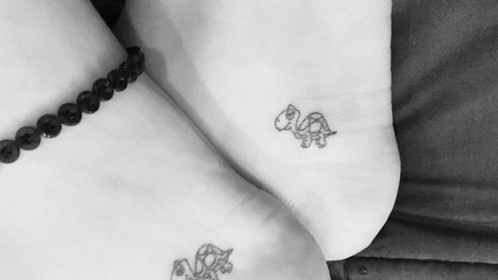Soeurs tortues sur le talon