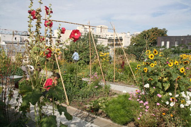 Des allées en béton pour sillonner le jardin