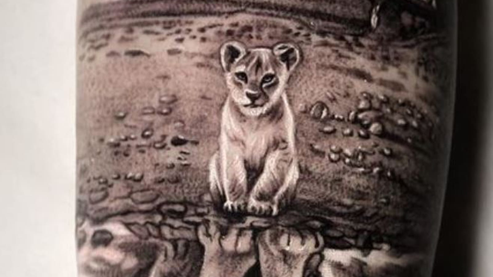 Lion et lionceau sur le bras