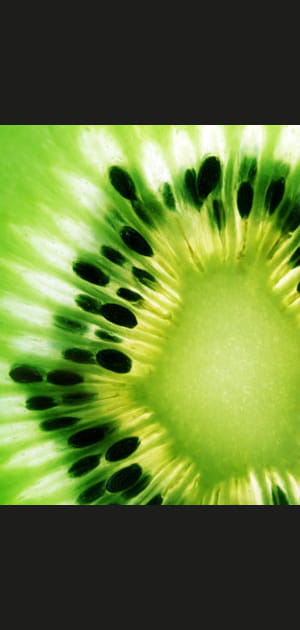 Aliment br&ucirc;le-graisse&nbsp;: magique kiwi
