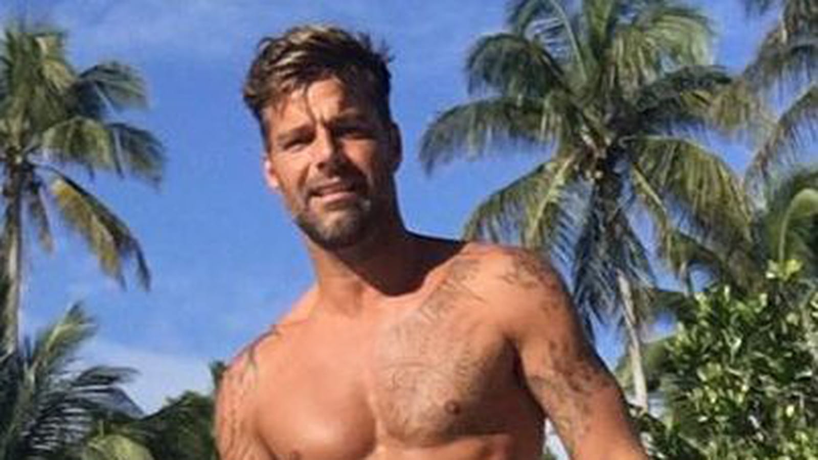 Ricky Martin