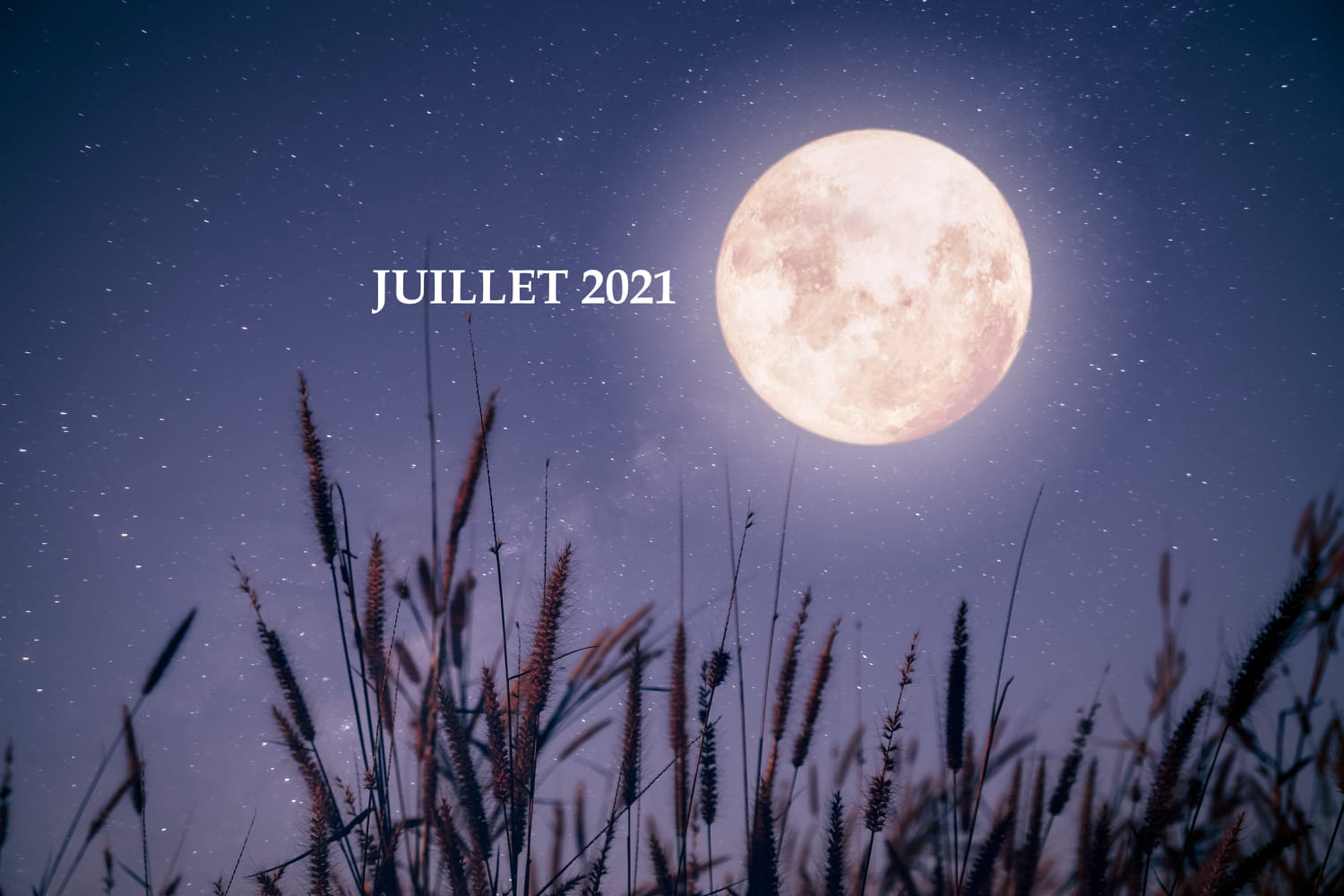 Calendrier lunaire au jardin juillet 2021