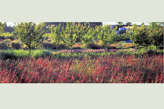 Les perspectives, jardin "Le Plaisir"