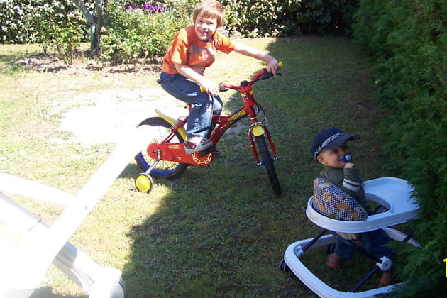 Attention aux arbres&nbsp;!