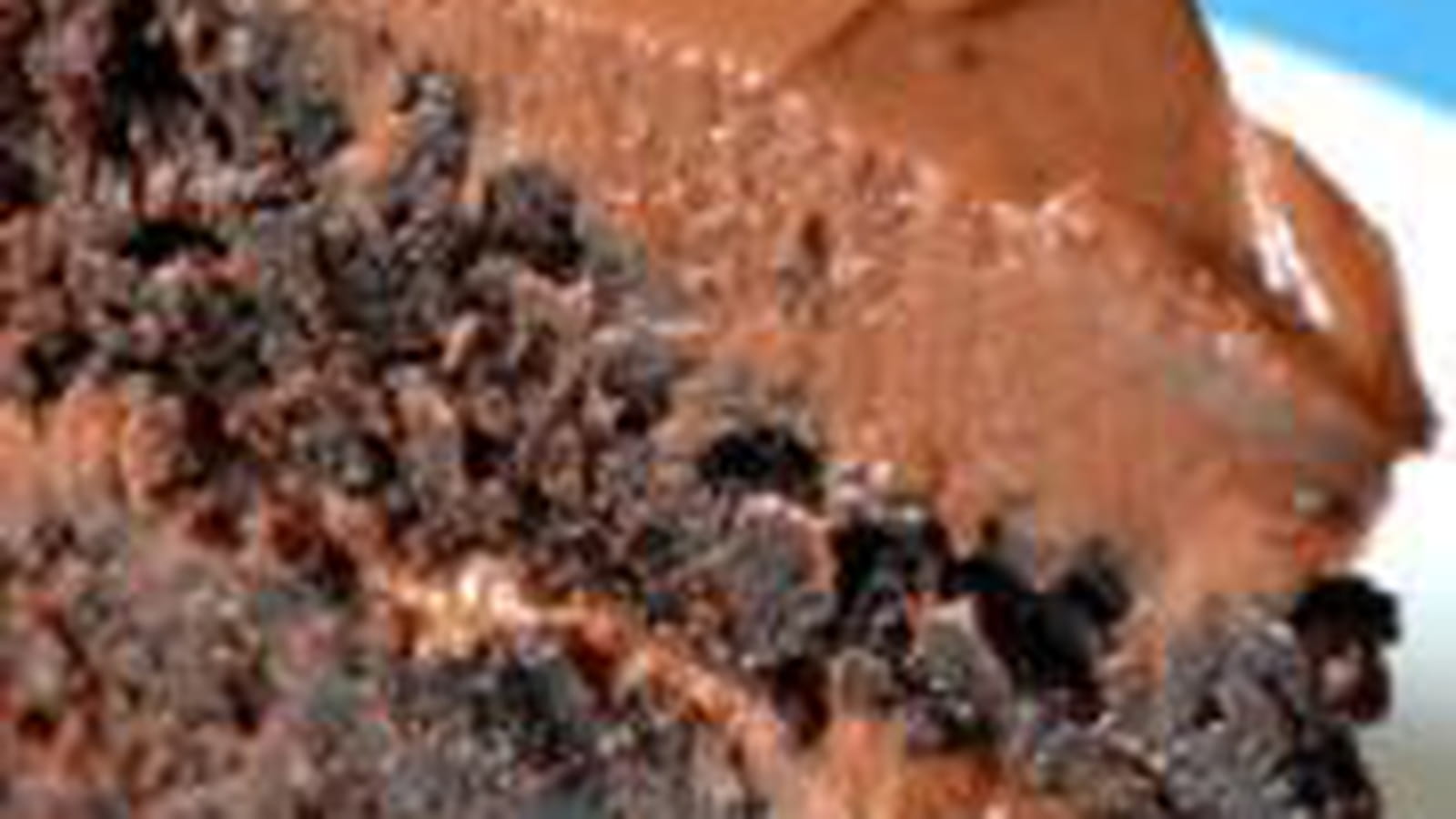 Layer cake, saveur chocolat