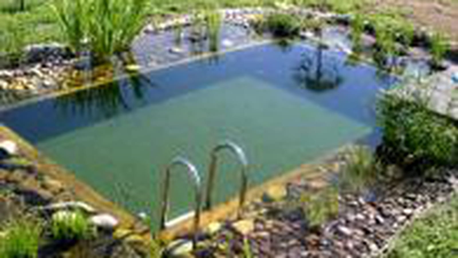 Une piscine bio