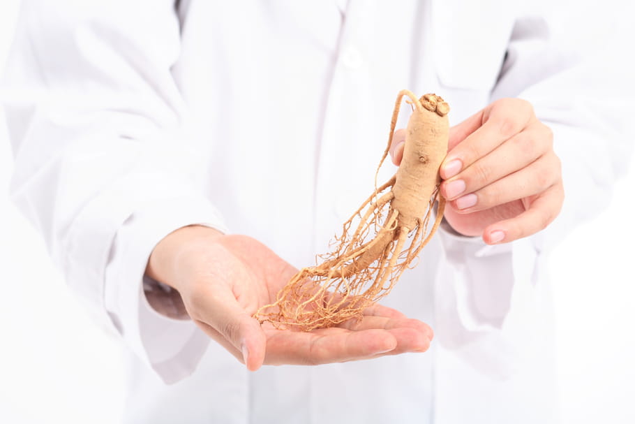 Ginseng : comment l'utiliser, quels dangers ?