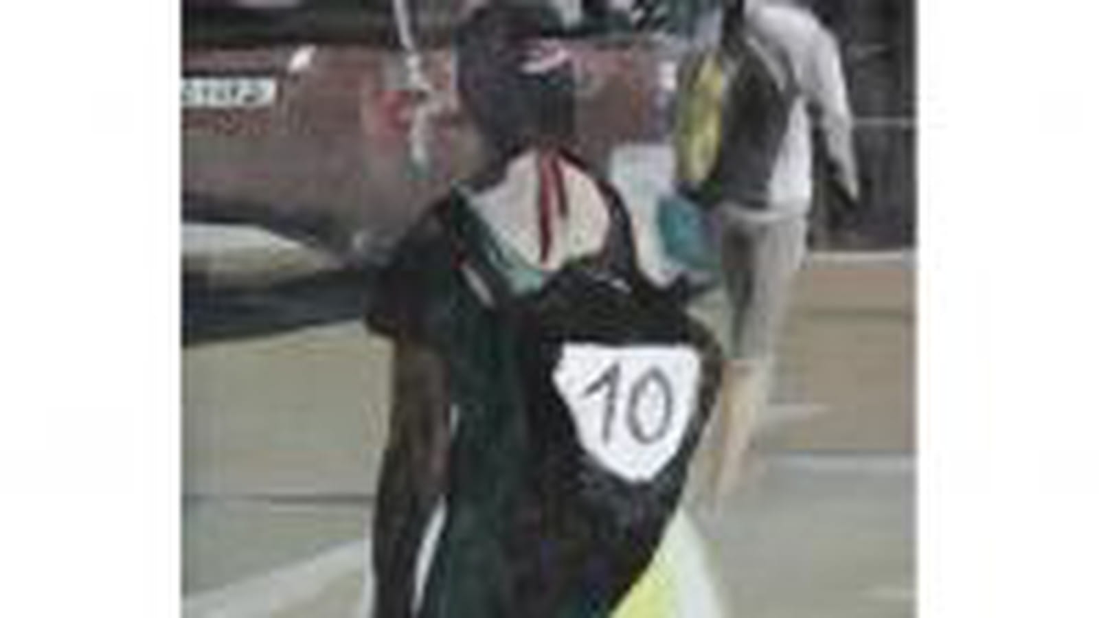 Huile sur toile, Marc Desgrandchamps