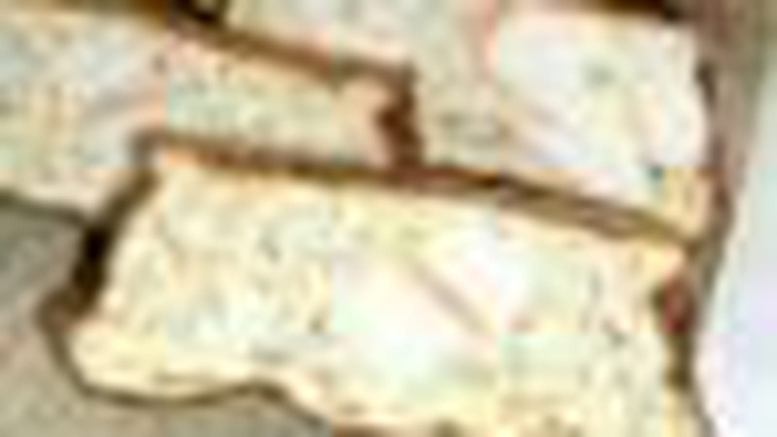 Surimi
