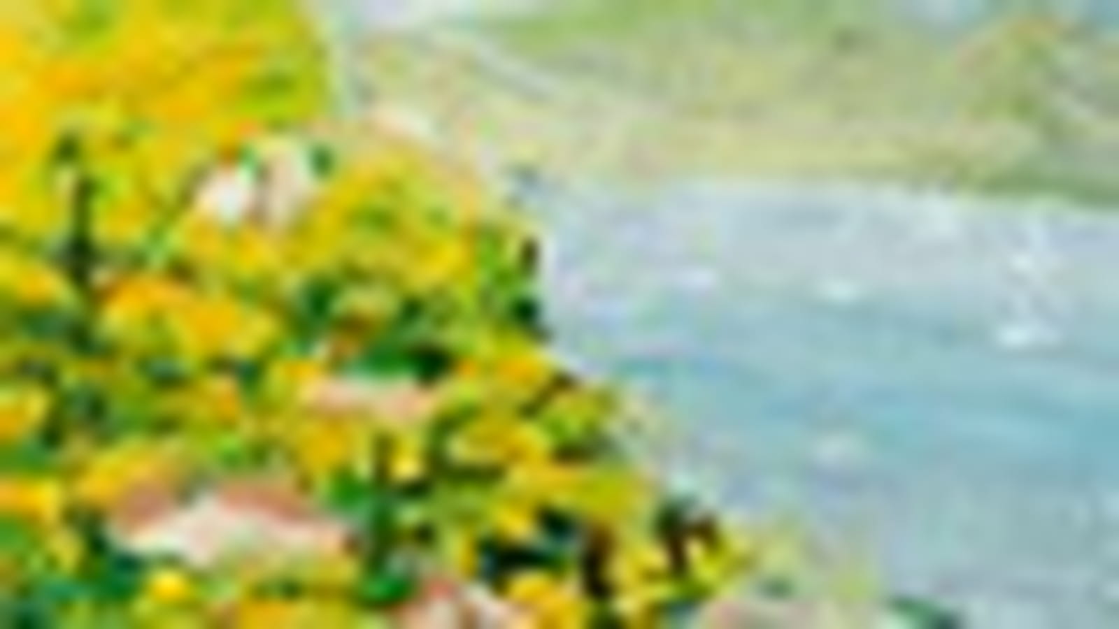 La baie des Saintes