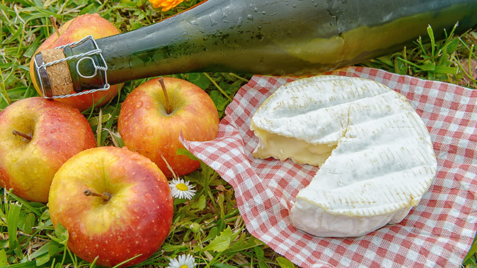 Champagnes, Cidres et fromages