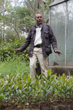 le professeur legesse de l'université d'addis abeba 