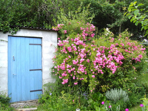 Cabane au fond du jardin