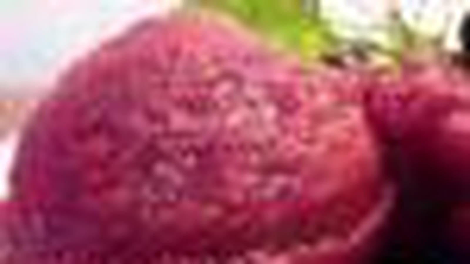 Sorbet cassis