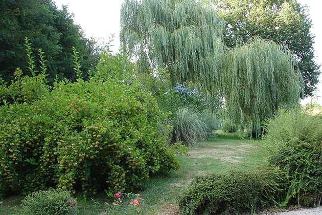 Un jardin d'arbres auvergnat